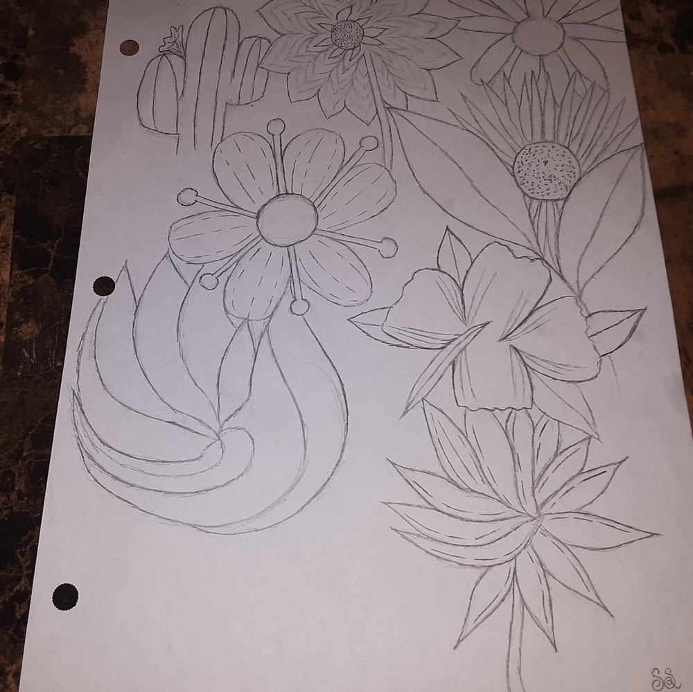 Plant Drawing